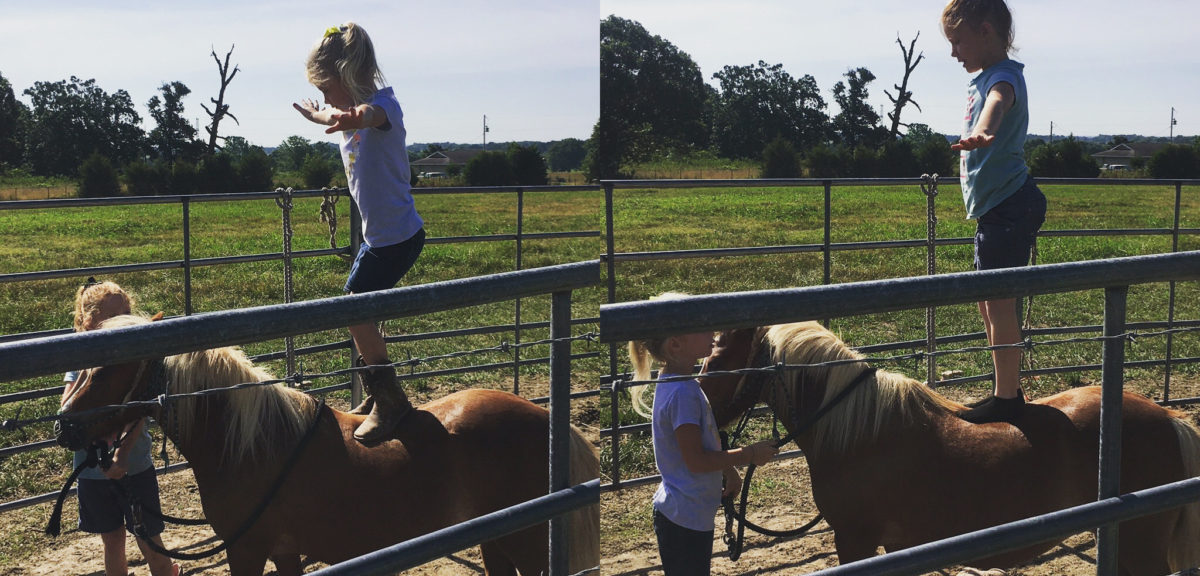 We’re Quarantined Again!